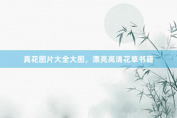 真花图片大全大图，漂亮高清花草书籍
